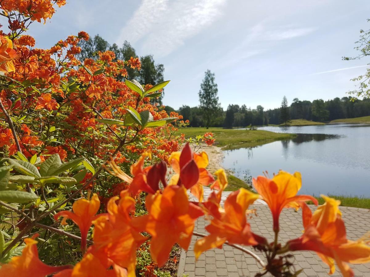 Mezdzirnas Country House & Spa Kabile Zewnętrze zdjęcie